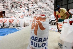 Panen Raya 2020, Bulog Targetkan Serap 650 Ribu Ton Beras