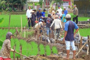 Kementerian PUPR Klaim Program Padat Karya Tunai Serap 101.308 Tenaga Kerja