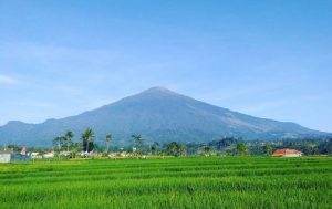 Desa Cikaso, Kuningan, Akan Bangun Wahana Ekowisata