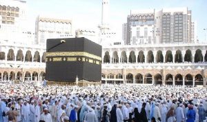 Jelang Wukuf, Pemerintah Arab Saudi Intervensi Langsung 8 Syarikah Jemaah Haji Indonesia