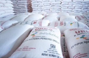 Semester Pertama 2020, Petrokimia Gresik Ekspor Pupuk 253 Ribu Ton