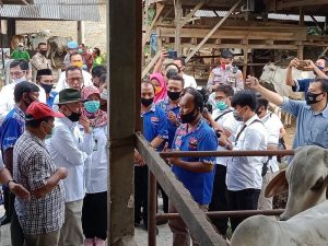 Koperasi Ternak Lampung Berpotensi Raih Dana Bergulir LPDB