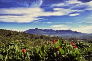 Kemenkraf Dorong Komunitas Kopi Berkontribusi Kembangkan Wisata