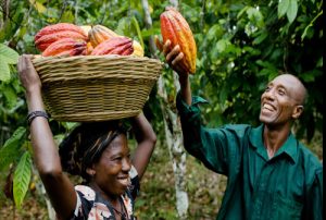 KUAPA KOKOO, CARA PETANI COKELAT GHANA LAWAN LIBERALISME