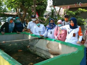 Panen Budi Daya Lele di RPTRA Jakarta