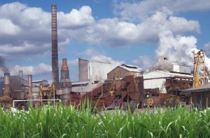 Pabrik Gula Baru Akan Terintegrasi dengan Perkebunan Tebu