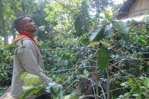 Unej Bina Enam Desa di Bondowoso Kembangkan Agrowisata