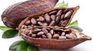 Semester Pertama 2020, Nilai Ekspor Industri Pengelola Cokelat Capai 549 Juta Dolar