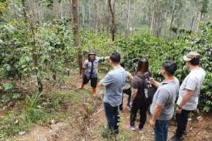 Petani Disarankan Pilih Jenis Kopi Sesuai Habitat