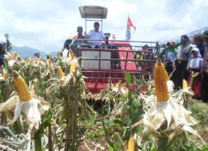 Perputaran Uang Korporasi Petani Jagung Kabupaten Bandung Capai Rp17 Miliar