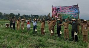 Kulonprogo Merintis Korporasi Pertanian Bawang Merah