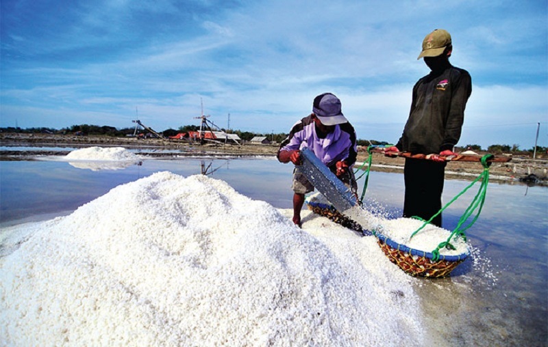 PT Garam Bidik Sumbar sebagai Sentra Produksi Garam Nasional