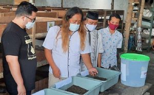 Pengusaha Murai Ini Mensiasati Pandemi dengan Bisnis Belatung