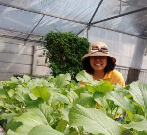 Petani Kota Bangkit (2), Urban Farming Berkembang di Kota Kembang