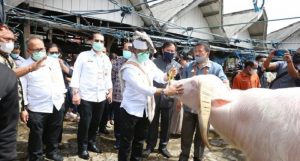 Mentan Terpikat Pasar Hewan Tallunglipu