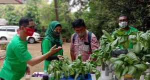 Petani Kota Bangkit (4)  Kementan Bentuk Kostrani Dampingi Petani Hidroponik