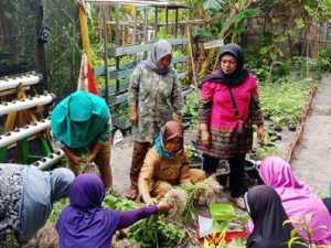 Petani Perempuan Pulau Seribu Kembangkan Tanaman Hidroponik