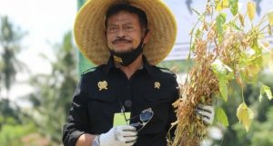 Mentan dan Gubernur Sulbar Panen Kedelai