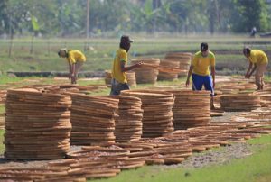 Program Pemberdayaan dalam Beberapa Sorotan