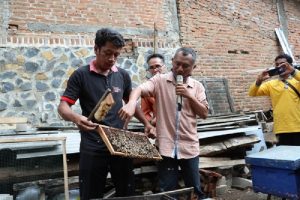 Sentra Madu Desa Joho Jadi Inspirasi Kementerian LHK