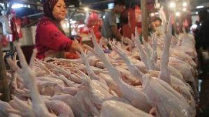 Bapanas: Harga Pangan Hari ini Naik, Daging Ayam jadi Rp40.990 per Kg