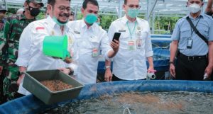 Mentan Lakukan Panen Lele di Pemalang