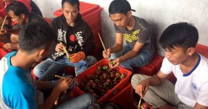 2021, Kementan Targetkan 483 Kampung Buah Kualitas Ekspor