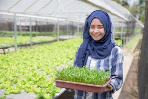 Para Penyuluh Pertanian Diminta Dukung Petani Milenial