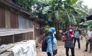 Prospek Cerah, Milenial dari Gowa ini Budi Daya Ayam Joper