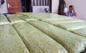 Produsen Tahu dan Tempe di DKI Mogok, Protes Kenaikan Harga Kedelai