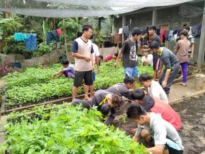 P4S Srikandi Siap Cetak Petani Milenial Pandeglang