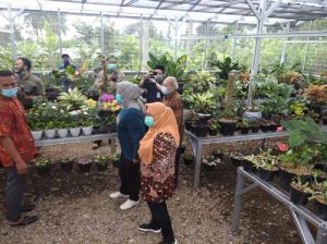 IPB Dukung 120 Petani Tanaman Hias di Desa Sukamantri
