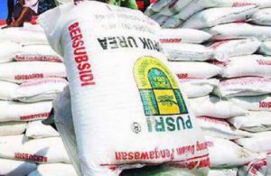 Pemerintah Keluarkan Kebijakan Permudah Penebusan Pupuk Bersubsidi bagi Petani Terdaftar