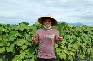 Galih Andika Saputra, Petani Milenial dari Klaten