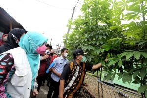 Sebuah Kampung Zero Waste di Antapani