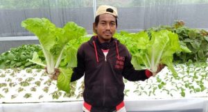 Chusaeni dari Batang, Buktikan Bertani Itu Keren