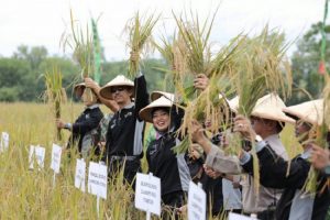 2021, Sektor Pertanian Hadapi Masalah SDM dan Anggaran