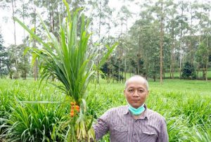Kolaborasi Unpad, Bio Farma dan BPPT Kembangkan Pakan Ternak Bernutrisi