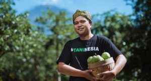 Budi Daya Jambu Kristal  dari Milenial Kota Batu