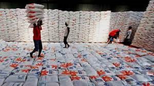 Cukupi Kebutuhan Masyarakat, Stok Beras Diprediksi Tembus 10 Juta Ton