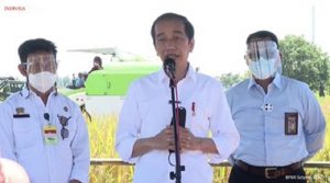 Jokowi Tunda Impor Beras hingga Akhir 2021, Jika Produksi Cukup
