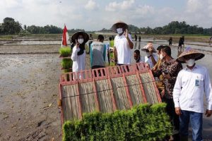 Pemkab Banyuwangi Awali Terapkan Metode Tanam Agro Solution