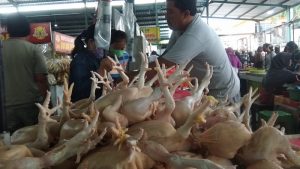 Kenaikan Harga Ayam Potong di Bali Masih Wajar, Mendag Budi Santoso Pastikan Pasokan Aman