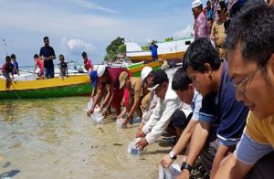 Tebar Benih Rajungan, KKP Jaga Kelestarian Populasi