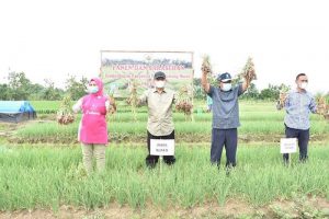 Petani Bawang Merah Grobogan Diminta Bentuk Korporasi