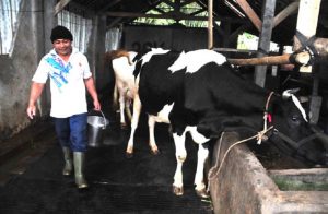 Bangun Pabrik Baru, Nestle Indonesia Targetkan Beroperasi  2023
