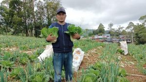 Rumah Koran, Berdayakan Petani Sayur Sulsel