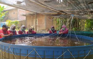 Kampung Nila Slilir, Gebrakan Anak muda di Malang