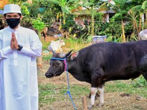 Ini Tiga Hal Pokok Aturan Kurban dari Kementan