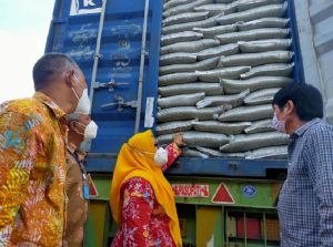 Petani Gresik Ekspor 75 Ton Kacang Hijau ke Filipina.